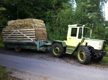 003-2012-Heuernte-Martin-Schaefer.JPG