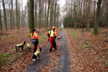 2014-11-Drueckjagd_15.jpg