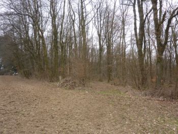 2016-Gemarkungsgrenzsteine-Naehe Grenzstein-60-Bild-01a.jpg