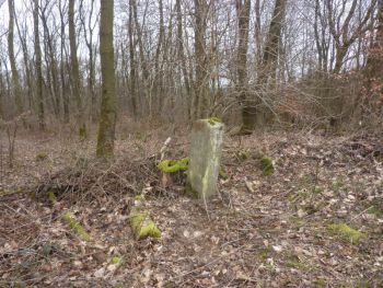 2016-Grenzstein-60-Hundsgalgen-05.jpg