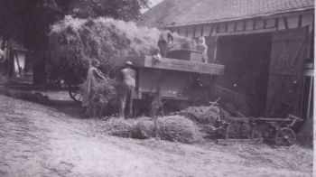 Dreschen-im-Linnenhoefjen.jpg