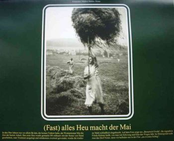 014-Muehsame-Ernte.jpg