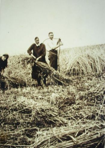 1935-Muehsame Ernte.jpg
