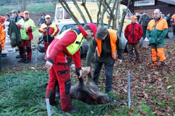 2014-11-Drueckjagd_23.jpg