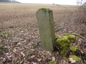 2016-Grenzstein-60-Hundsgalgen-04.jpg