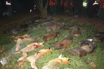 002-Drueckjagd-2011.jpg