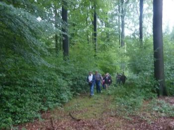 004-2011-Waldbegang.JPG