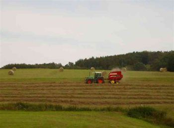 022-Heuernte-2008-in-Mudenbach.JPG