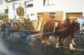 035-Ffestzug.JPG