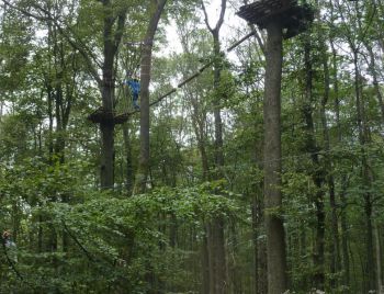 13-Kletterwald-c.jpg
