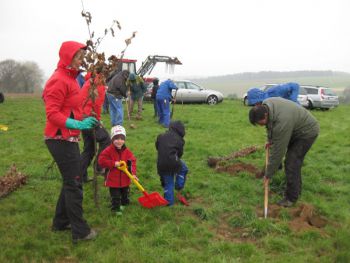 2015-Eichen-pflanzen_025.jpg