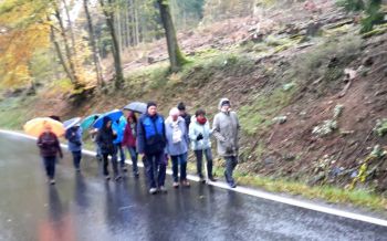2019-11-Wanderung im November (2).jpg