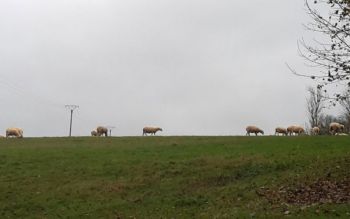 2019-11-Wanderung im November (4).jpg