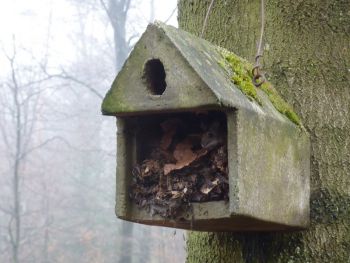 003-2012-03-01-Reinigung-Nistkaesten.JPG