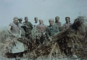 1943-Erntehelfer.jpg