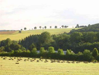 001-Heuernte-2008.JPG