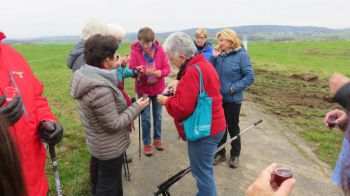 005-2017-Wanderung im November.jpg