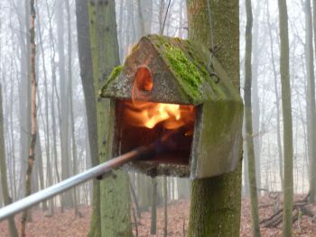 014-Nistkaesten-Reinigung-2013.JPG