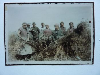 1942-Feldarbeit.JPG