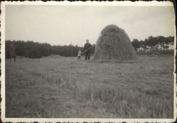 1953-Ernte in der Dell.jpg