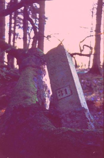 1980-Grenzstein-61-Hundsgalgen-02.jpg