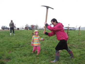 2015-Eichen-pflanzen_023.jpg