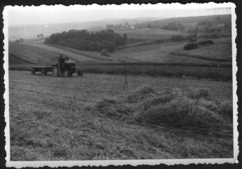 005-Landwirtschaft.jpg