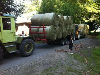 009-2012-Heuernte-Martin-Schaefer.JPG