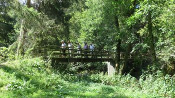 009-2019-August-Nisterwanderung.jpg