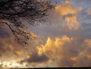 014-Waldbegang_Nov-2009.jpg