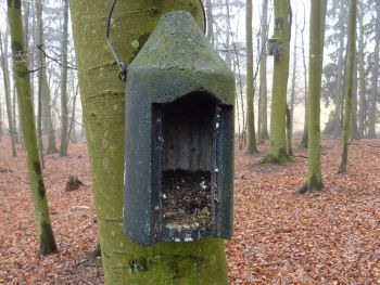 018-2012-03-01-Reinigung-Nistkaesten.JPG