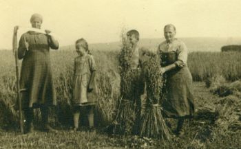 1940-Ernte-Gertrud-mitMutterOma.jpg