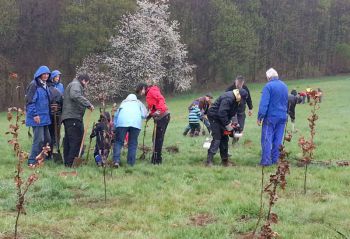 2015-Eichen-pflanzen_003.jpg