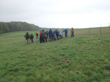 2015-Eichen-pflanzen_010.jpg