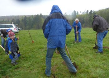 2015-Eichen-pflanzen_029.jpg