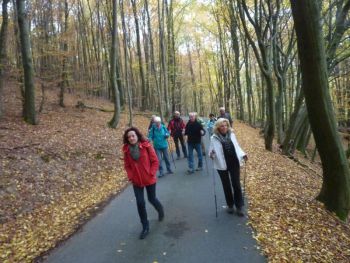 003-2015-10-Wanderung Oktober.JPG