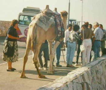 007-Israel-Teil2.JPG