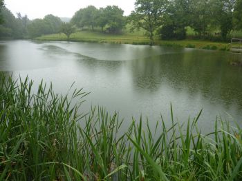 010-Grenzbegang-2012.jpg