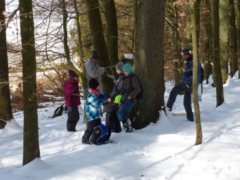 010-Nistkaesten-Reinigung-2013.JPG