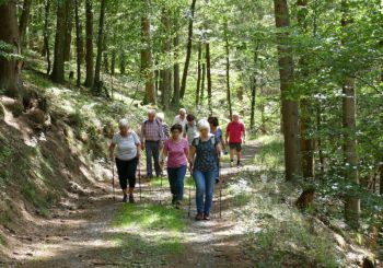011-2019-August-Nisterwanderung.jpg