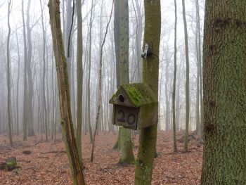 017-2012-03-01-Reinigung-Nistkaesten.JPG