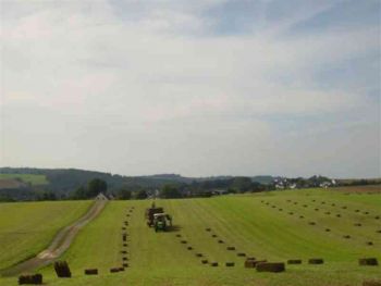021-Heuernte-2008-in-Hanwerth.JPG