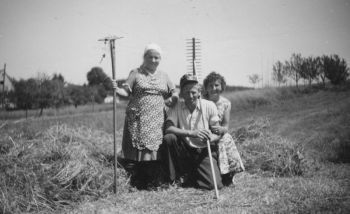 032-Feldarbeit um 1960.jpg