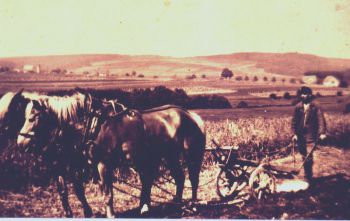 1930- Albert Strobel beim Ackern.jpg