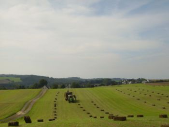 2008-Heuernte-in-Hanwerth (2).JPG