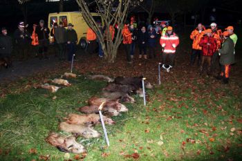 2014-11-Drueckjagd_25.jpg