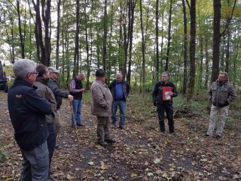 2016-Foto Waldbegang-2.jpg