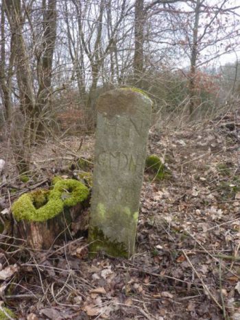 2016-Grenzstein-60-Hundsgalgen-02.jpg