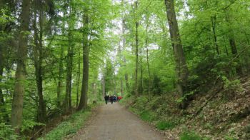 2018_05-Wanderung im Mai.jpg
