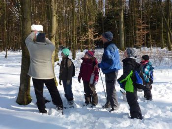 004-Nistkaesten-Reinigung-2013.JPG